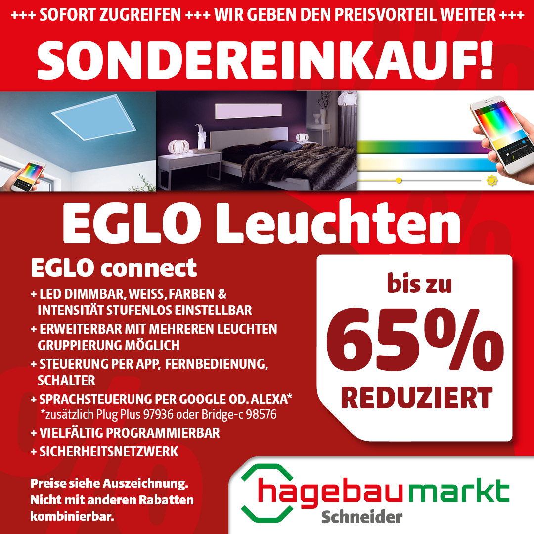 SONDEREINKAUF: Eglo Leuchten