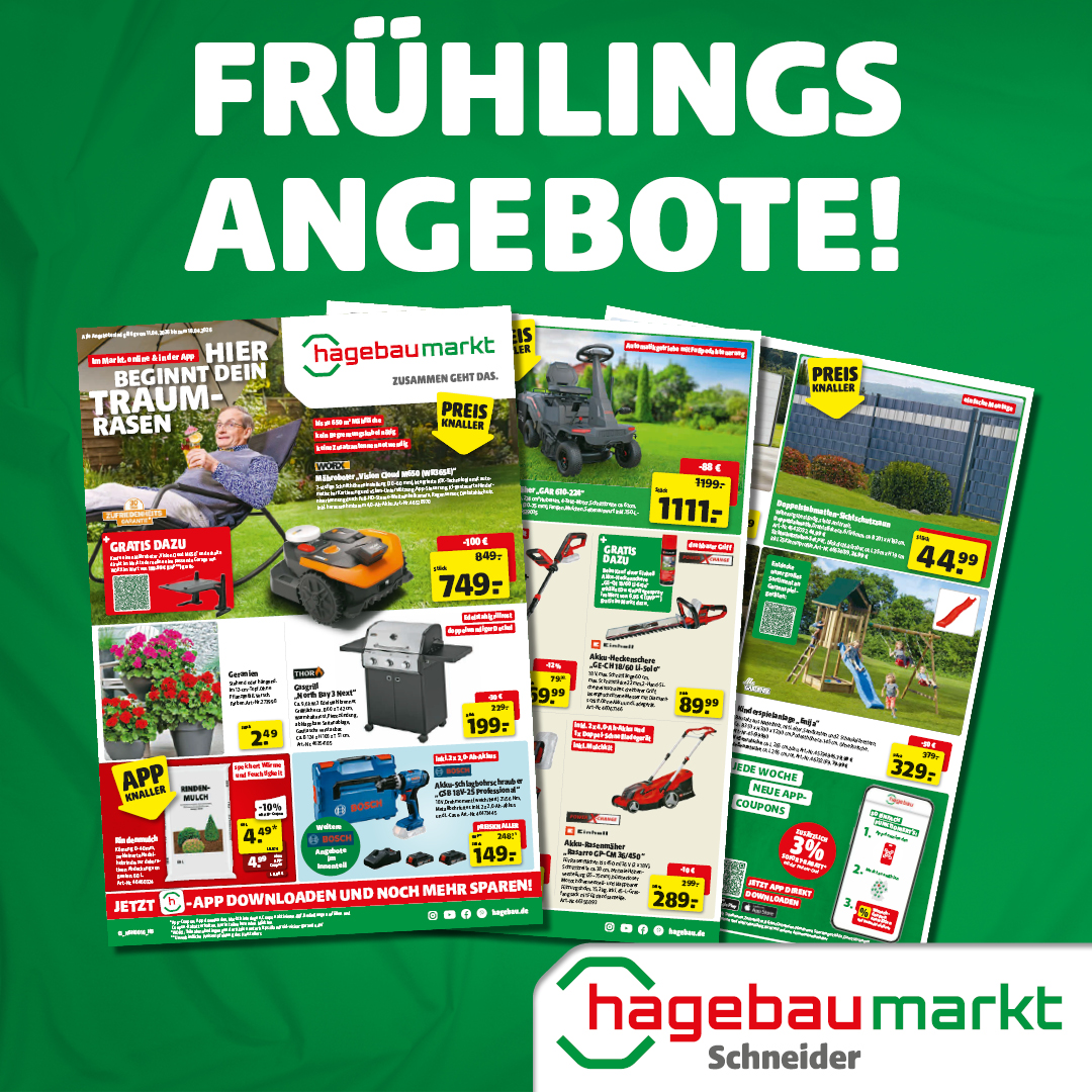 Prospekt - Frühlings Knaller