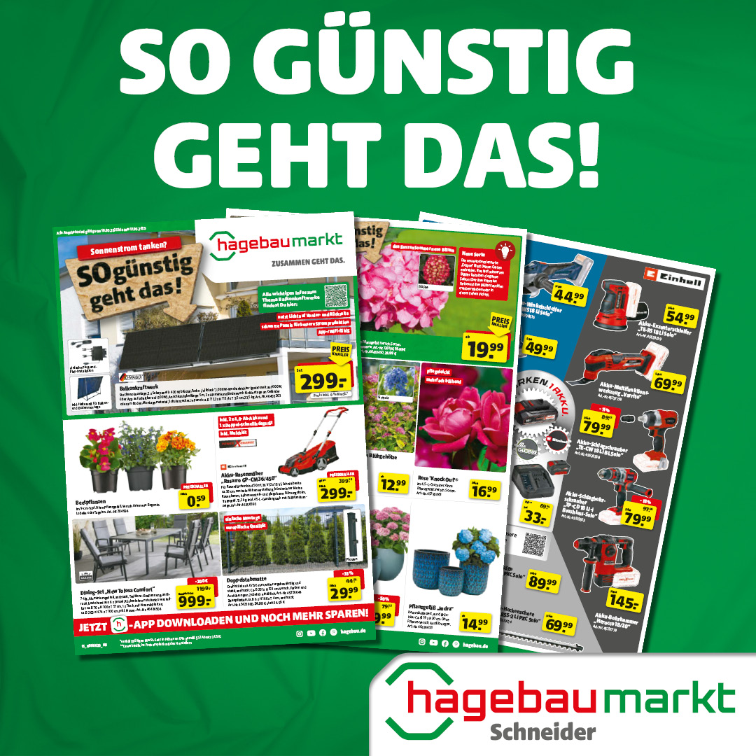 Prospekt - So günstig geht das!