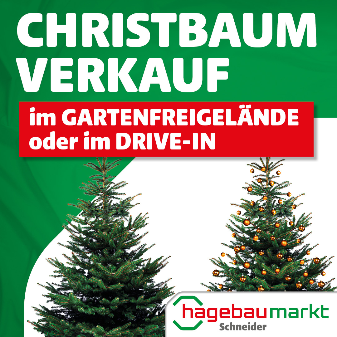 Christbaum Verkauf