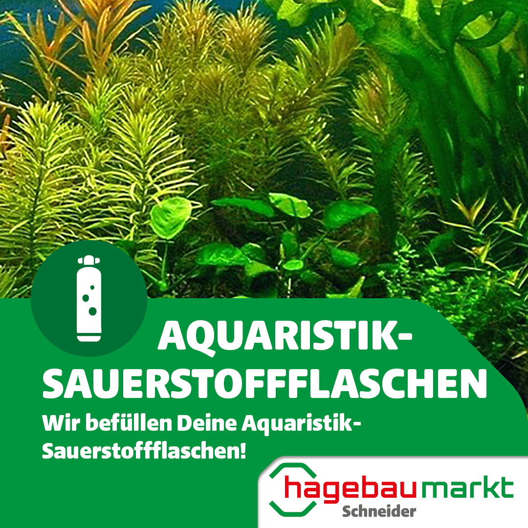 Wir befüllen Deine Aquaristik-Sauerstoffflaschen!
