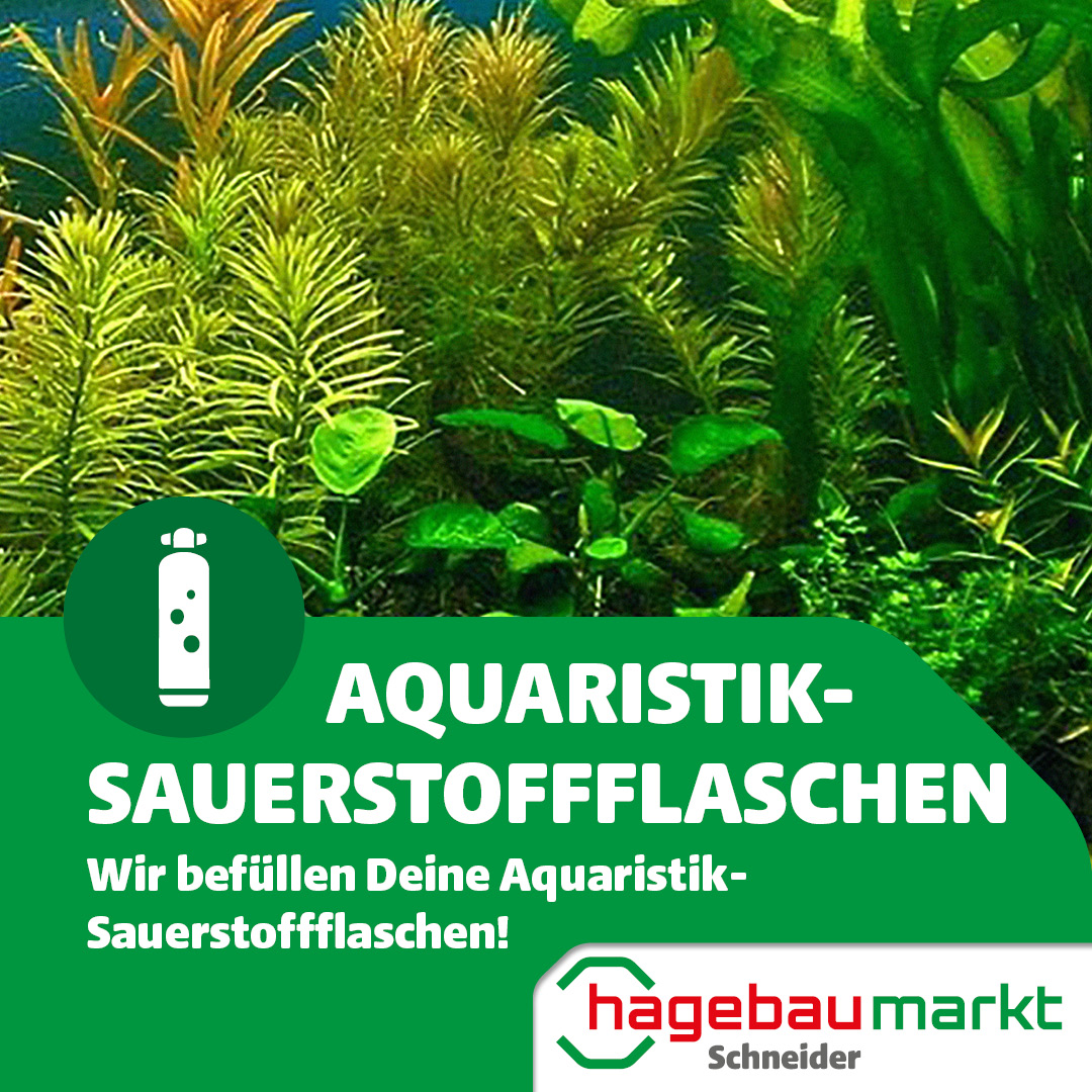 Wir befüllen Deine Aquaristik-Sauerstoffflaschen!
