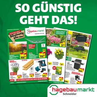 Hier gleich das aktuelle Prospekt öffnen!

Dein Projekt. Dein Sommer. Deine Angebote!

Der Sommer steht vor der Tür – und mit ihm unsere Top-Angebote aus dem aktuellen hagebaumarkt Schneider Prospekt! Ob du deinen Garten verschönern, den Balkon in eine Oase verwandeln oder endlich das langersehnte DIY-Projekt angehen willst – jetzt ist der perfekte Moment!
