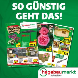 Hier gleich das aktuelle Prospekt öffnen!

Raus in den Garten! SO günstig geht das!

Egal ob 6-Brenner-Gasgrill für unter 300€, Pflanzen in sämtlichen Variationen, Gartengeräte zum Schnäppchenpreis, Balkon- und Gartenmöbelvielfalt, Gartenhäuschen-Angebote oder einer der BOSCH-AKKU-DEALS… so kommt auf jeden Fall Schnäppchen-Laune auf!
