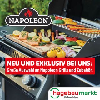 Beim Namen Napoleon schlagen die Gasgrill-Herzen höher.
	Bei uns bekommst du nicht nur eine große Auswahl an Grills von Napoleon, sondern auch die komplette Bandbreite an Zubehör.
	
	Was einen Napoleon ausmacht? Seine Qualität und seine Garantie.
